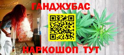 индика Краснознаменск