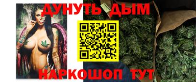 индика Краснознаменск