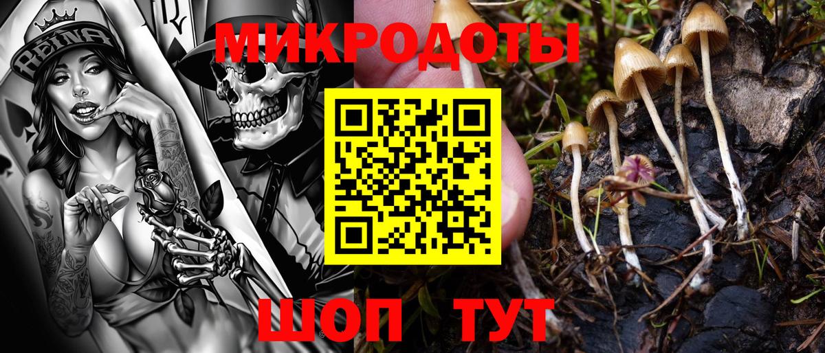 Псилоцибиновые грибы ЛСД Елец